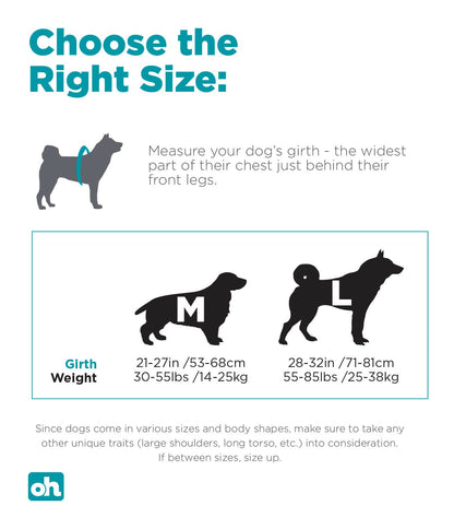 Outward Hound Kyjen 22005 DayPak Dog Backpack Adjustable Saddlebag Style Dog Accessory, Large, Blue