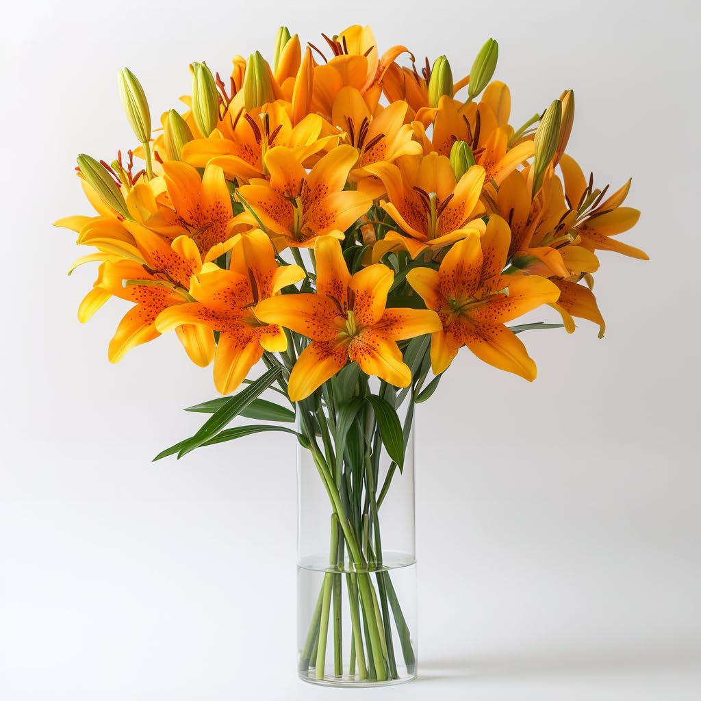 GlobalRose 20 Orange Asiatic Lilies – Responsibly Sourced Lily Flowers – Hand-Picked Flowers Fresh Bouquet for Graduation, Anniversary, Birthday & Special Occasions