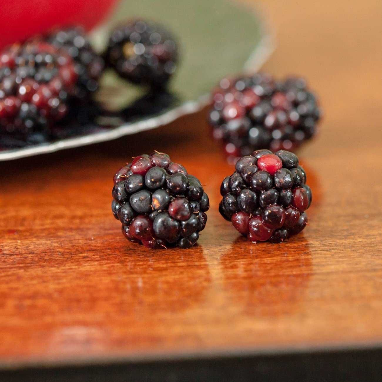 Perfect Plants Triple Crown BlackBerry Bush 1 Gallon | Live Vining Fruit for Outdoor Planting | Large Fruits for Home Gardens | Dark Purple Berries are Sweet & Healthy