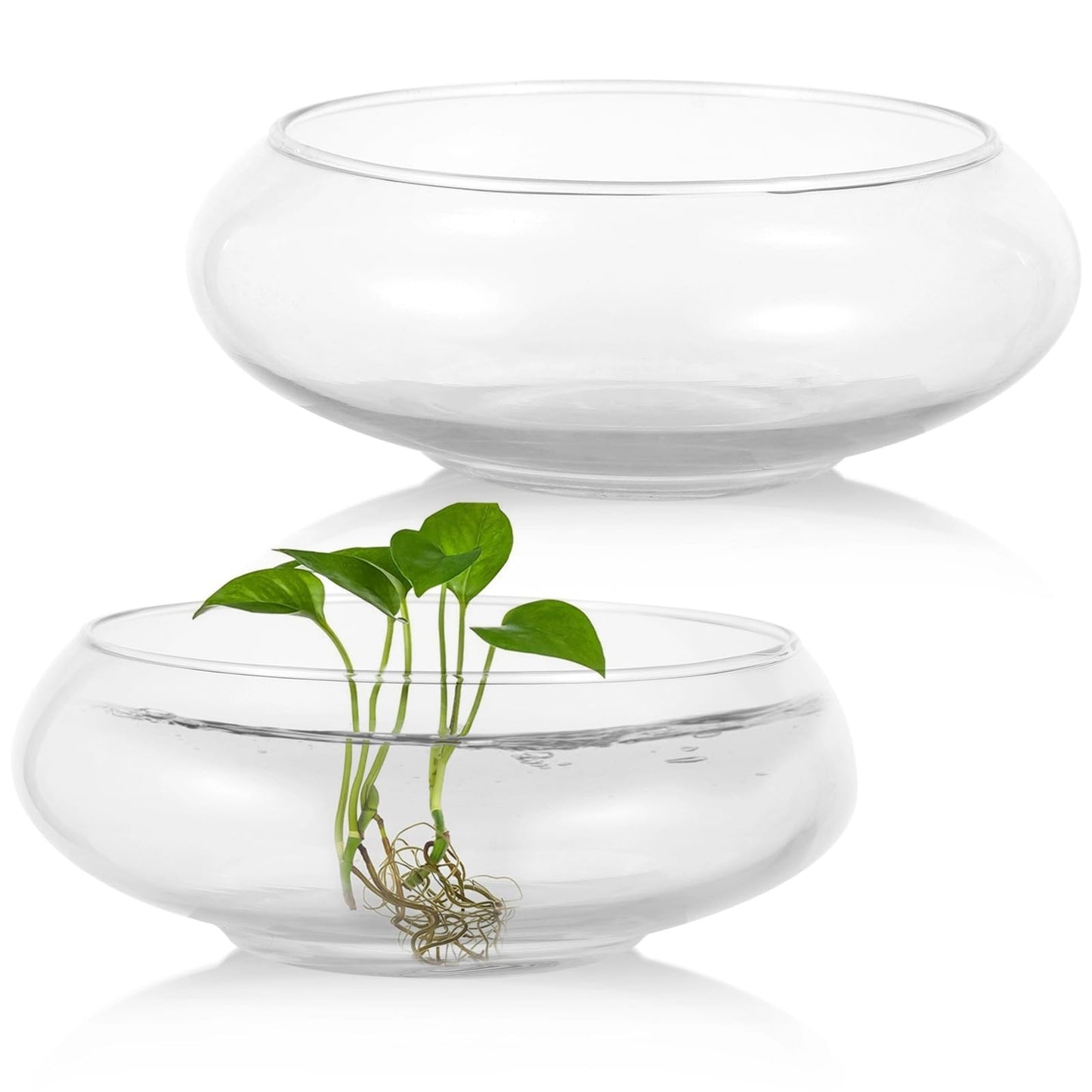 2 PCS Round Glass Vase Bowl, 6"/ 8" Wide Mouth Round Glass Bowls, Succulent Planters, Fish Tank, Bubble Vases, Floral Decor Centerpieces, Flower Pots for Home Decoration (2PCS)
