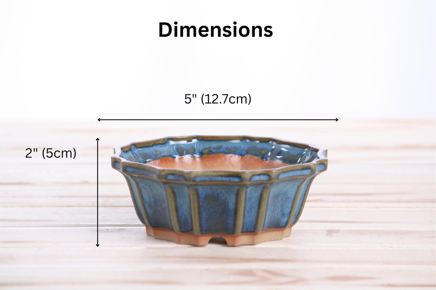 Willow Bonsai Ceramics Flower Design Bonsai Pot 5 Inch – Elegant Ceramic Bonsai & Succulent Planter, High‑Fired Frost‑Proof Stoneware with Drainage & Wiring Holes, Handmade in USA (Peacock 2025)