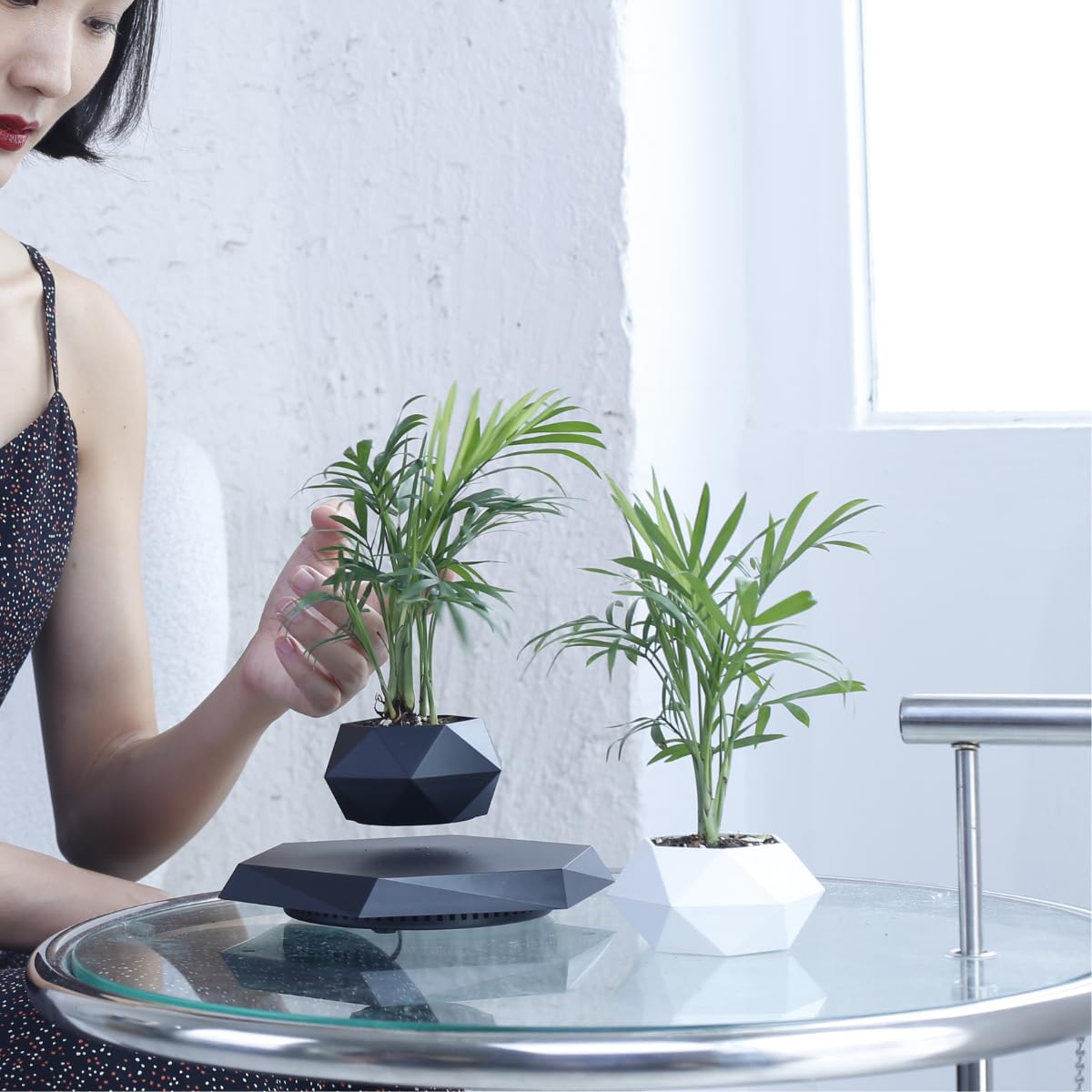 MOOCCI Levitating Plant Pot Floating Plant Potted Plant, Air Bonsai and Artificial Plants, Home Office Desk Decor, Gift for Easter, Mother's, Father's Day（Black