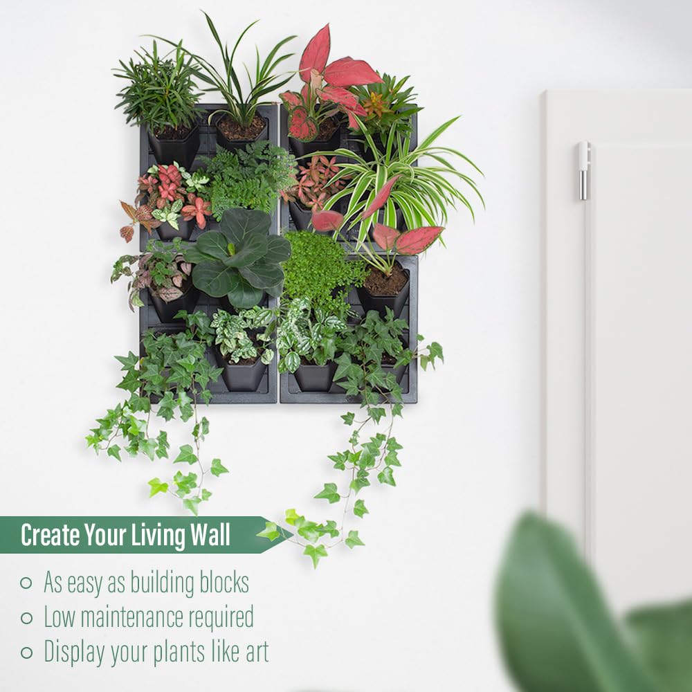 Inspiration Jungle Self Watering Wall Planter with 4 Pots - Easy to Create Indoor Living Wall for Home, Office and Shop Front - Includes Water Gauge (Black)