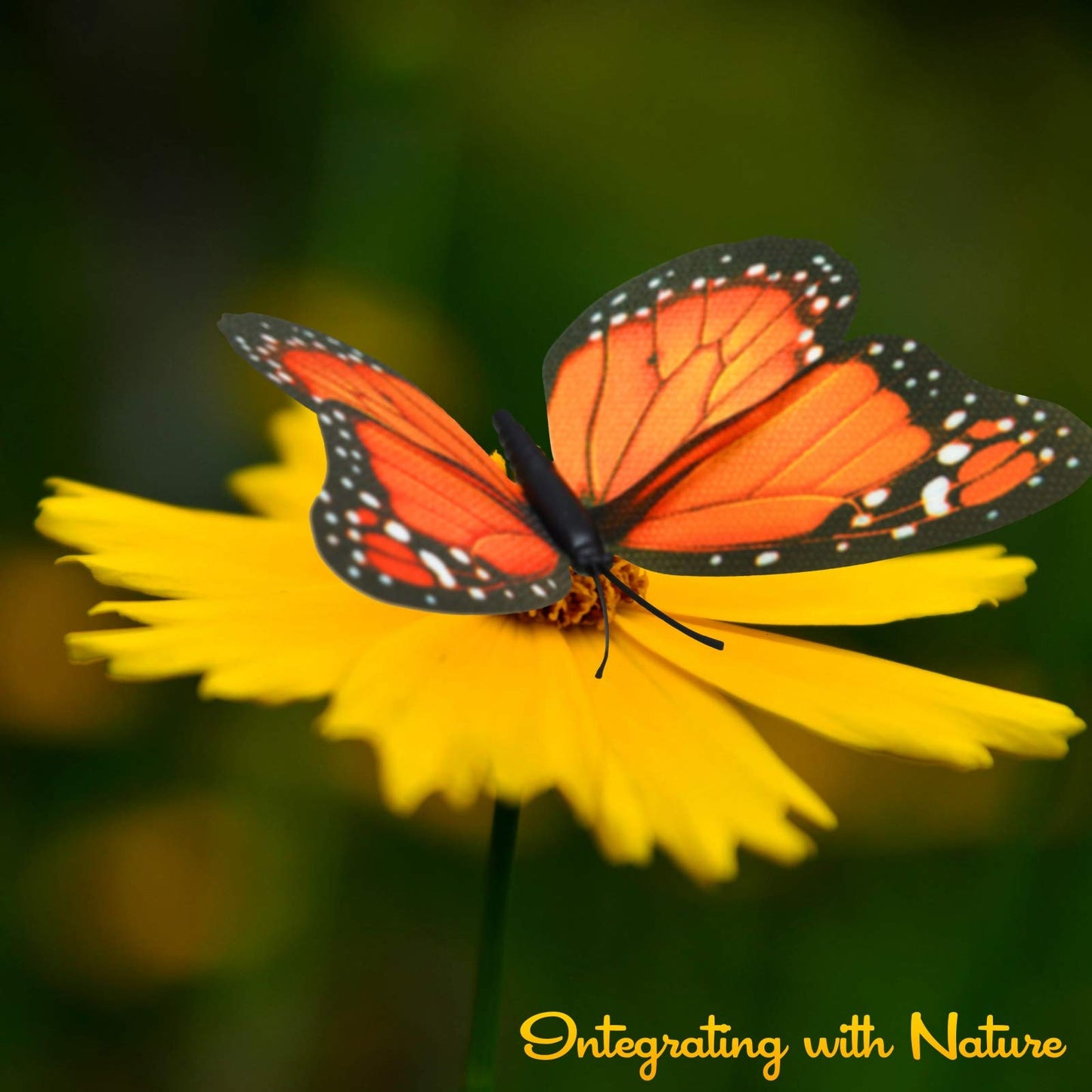 AQUEENLY Monarch Butterfly Decorations, 4.72'' Orange Premium Artificial Monarch Butterfly to Decorate for Craft, Home, Wall, Wedding, Party (12 Pcs)