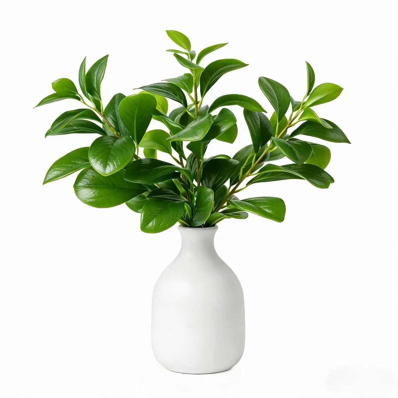 Giftale 16" Artificial Peperomia in White Ceramic Bud Vase Lifelike Two-Tone Green Leaves Faux Plant Table Centerpiece for Indoor Home Office Shelf Desk Bathroom Decor