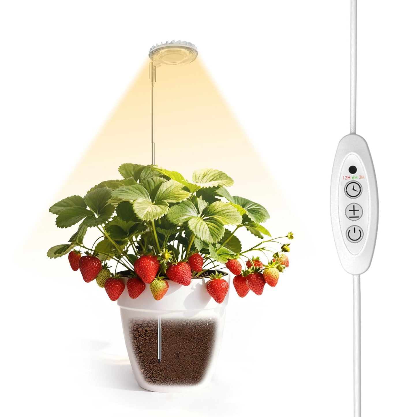 SGLEDs 12W Stake & Desktop Grow Light for Indoor Growing,12W Grow Light with Stake High PPFD,Full Spectrum Desk Growth Lamp with Automatic Timer,4 Dimmable Levels,Height Adjustable 25"-68"（White