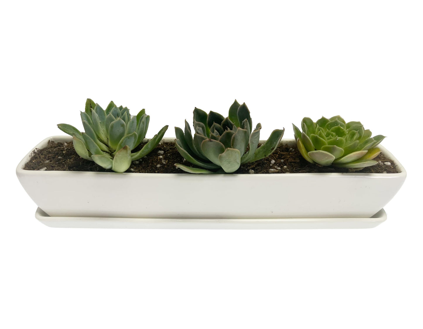 Kipokalor Two Set of Long Rectangular Modern Succulent Planter Pot,with Ceramic Saucer for Office,Desk,Window. (2)