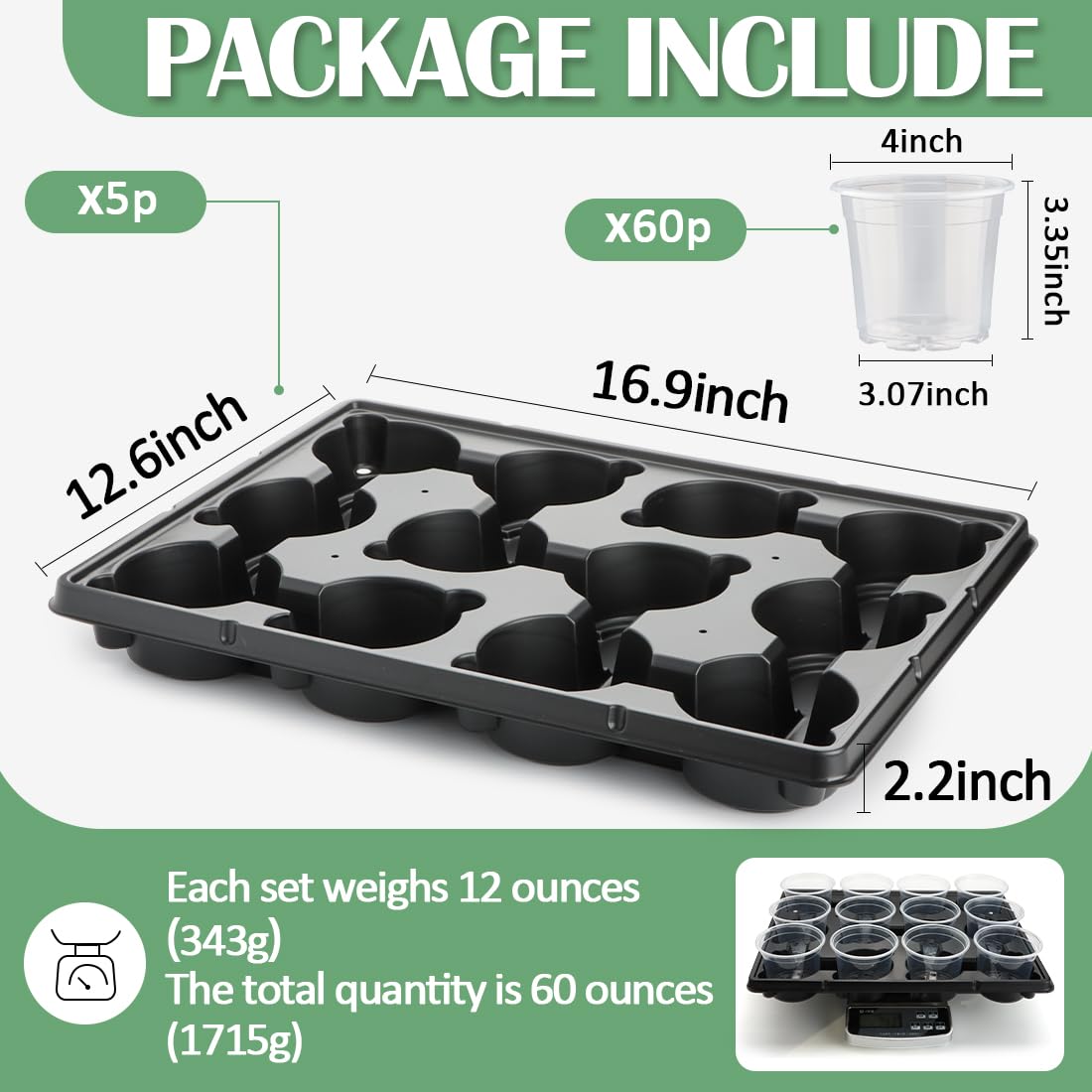 RooTrimmer 12 Cell Nursery Pot Trays 5 Pack with 4 Inch Clear Plant Pots 60 Pack, Thick Sturdy Seeds Starting Germination Shuttle Carrying Trays, Black Small Planter Nursery Propagation 5 Sets