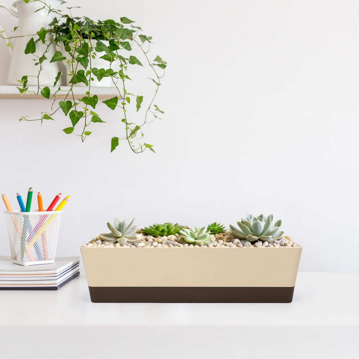 Suream Window Box Herb Planters, 3 Pack 16 x3.8 Inch Indoor Rectangle Succulent Cactus Plant Pots with Saucer, Modern Plastic Flower Container for Windowsill, Garden Balcony, Home Office Outdoor Decor