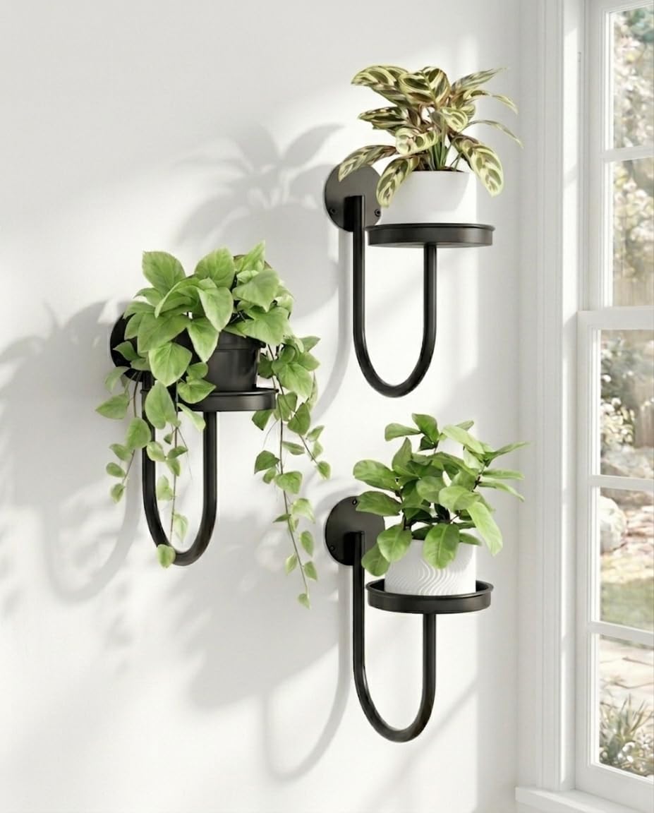 Bamworld Hanging Planters for Indoor Plants Wall Plant Holder Plant Hanger Indoor Wall Planters Window Plant Shelves Hanging Plant Holder Window Plant Hanger Plant Decor Black 3pcs