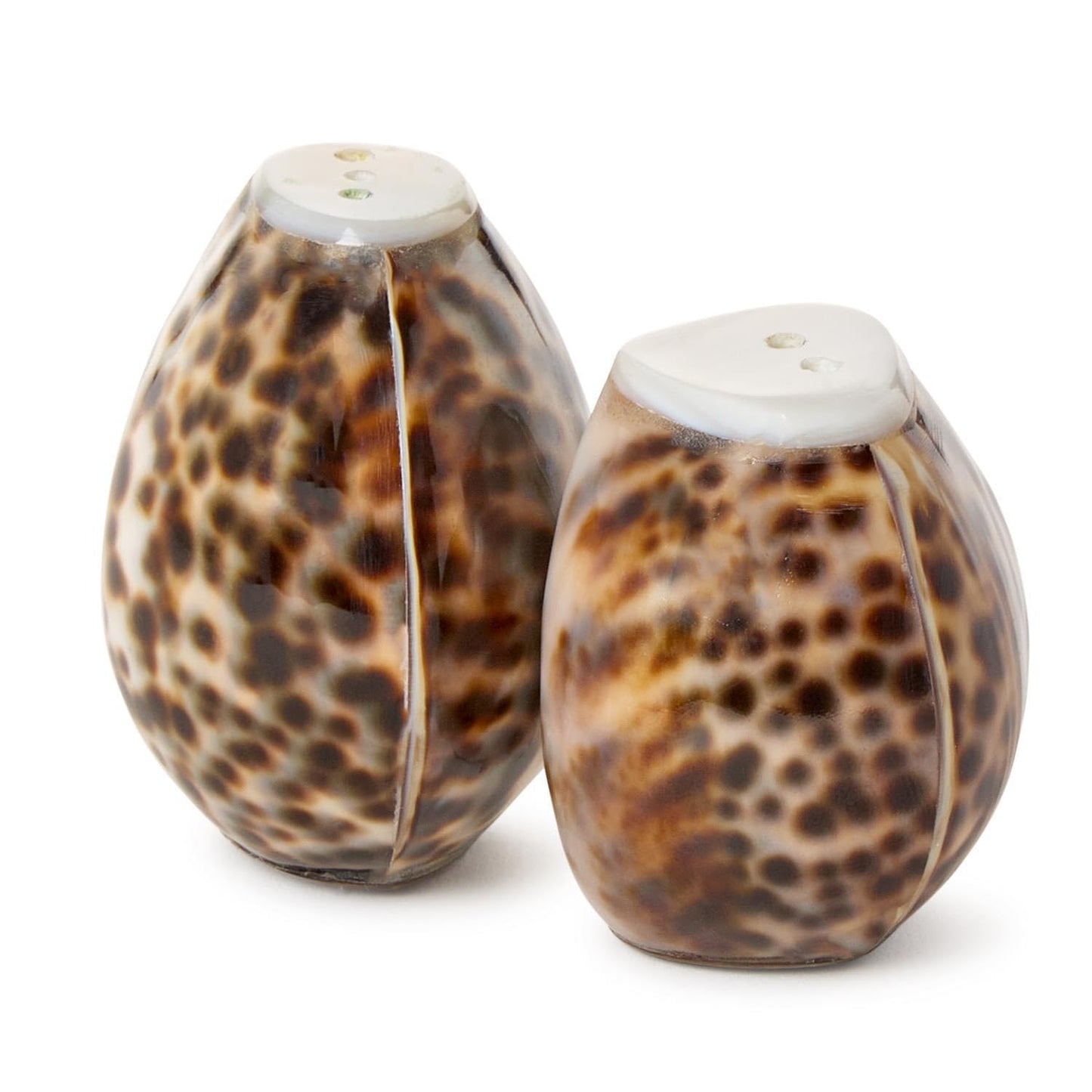 Two's Company Tiger Cowrie Shell Salt and Pepper Shakers in Natural Jute Pouch, 2.5-Inch