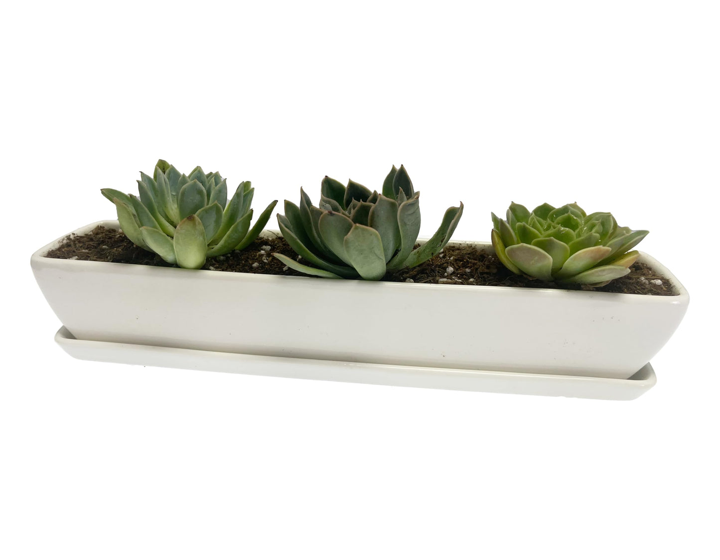 Kipokalor Two Set of Long Rectangular Modern Succulent Planter Pot,with Ceramic Saucer for Office,Desk,Window. (2)