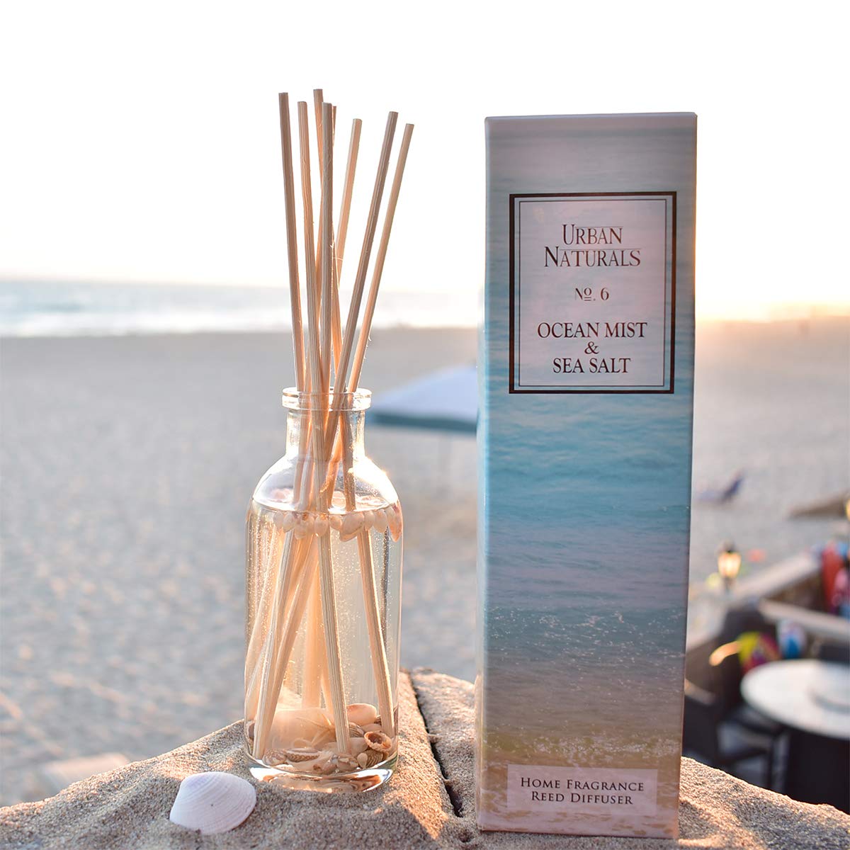Urban Naturals Ocean Mist & Sea Salt Reed Diffuser Set | Made with Essential Oils & Real Seashells | Decorative Air Freshener Room Diffuser