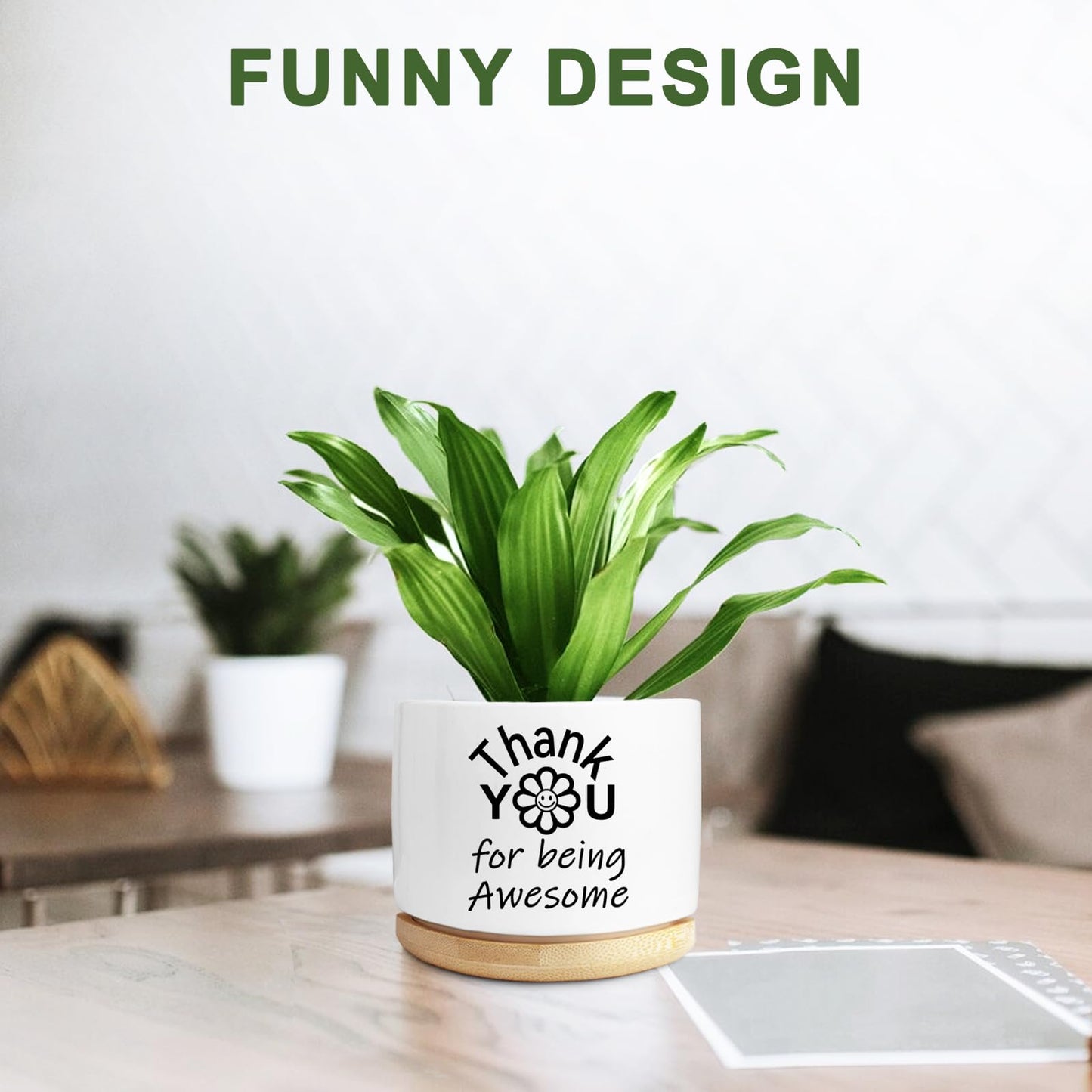 Aryabtya Thank You Gifts for Women, Succulent Planter, Flower Cactus Plant Pot, Employee Appreciation Gifts for Coworkers Nurse Friends Women, Thank You for Being Awesome (No Plants)