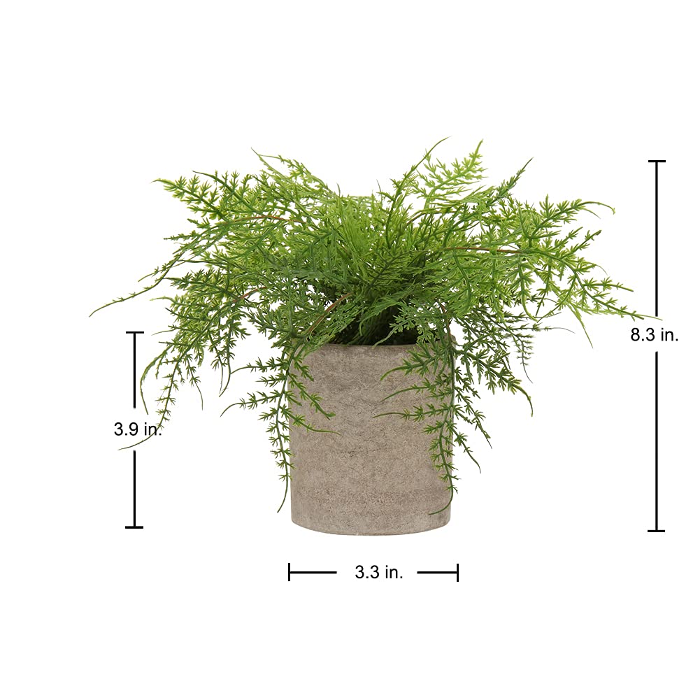 Briful Small Fake Plant Potted Plants Artificial Decor Plastic Asparagus Ferns Plant Faux Plants in Pots for Home Living Room Bedroom Desk Shelf Farmhouse Decoration