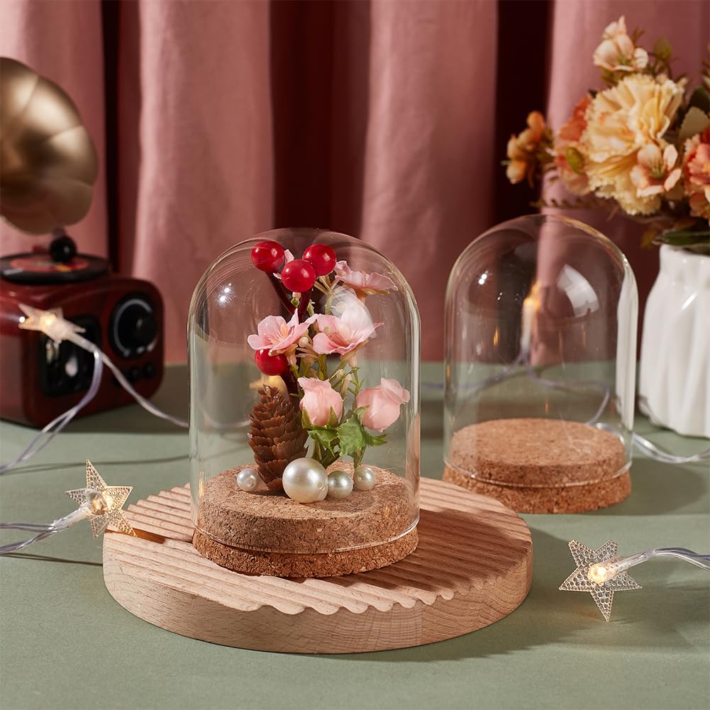 BENECREAT 2 Pcs Glass Display Cloche, 3x4.1 inches Bell Jar Dome with Cork Base, Display Dome Glass for Flower, Plant, Miniature and Craft, Home Decoration, ID: 3 inches