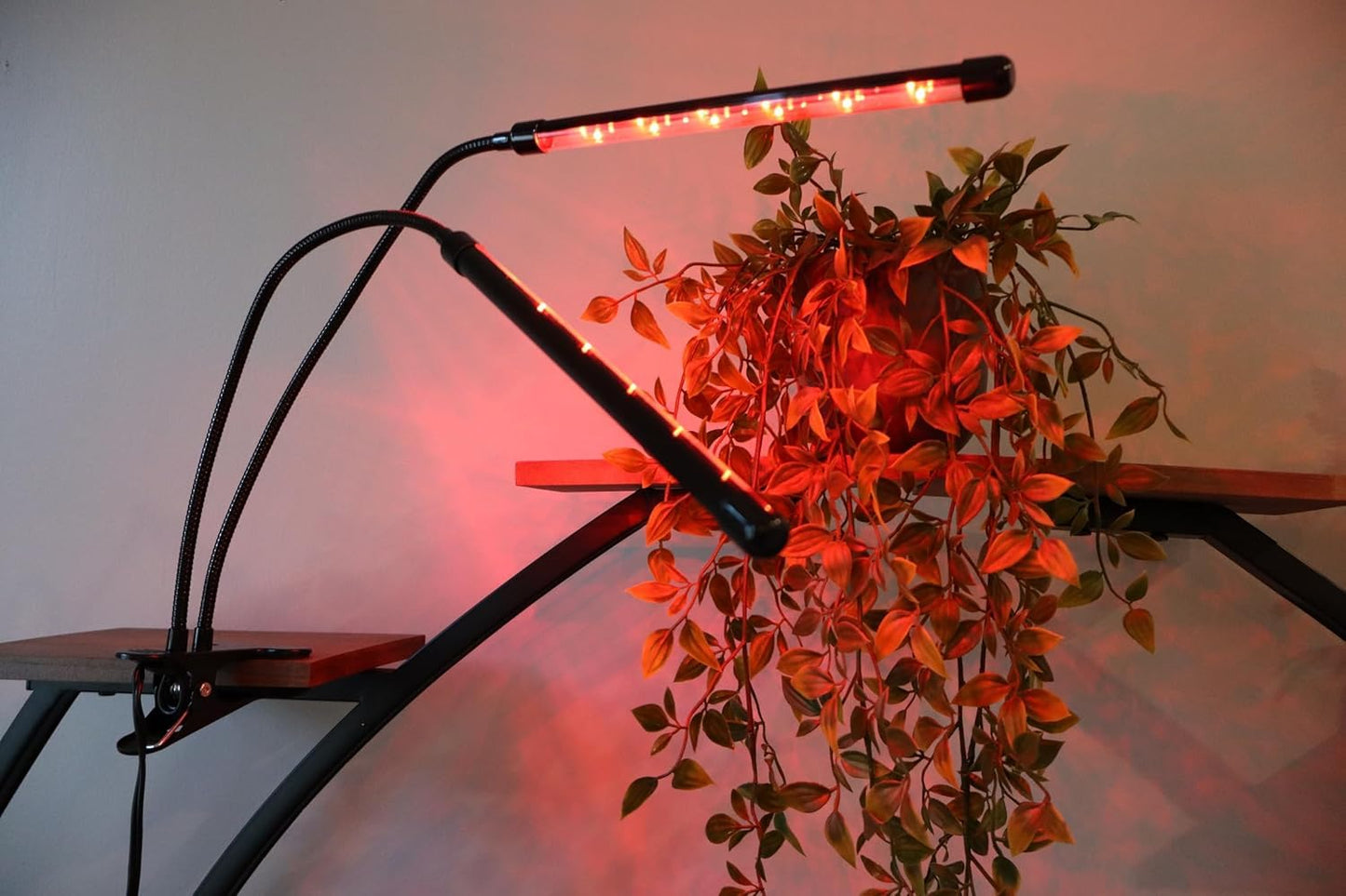 FloraBeam Plant Grow Light - 6000K Full Spectrum with Adjustable Red & White LEDs, 10-Level Dimming, USB Powered Clip-On Lamp for Indoor Plants, Timer Function (2 Head)