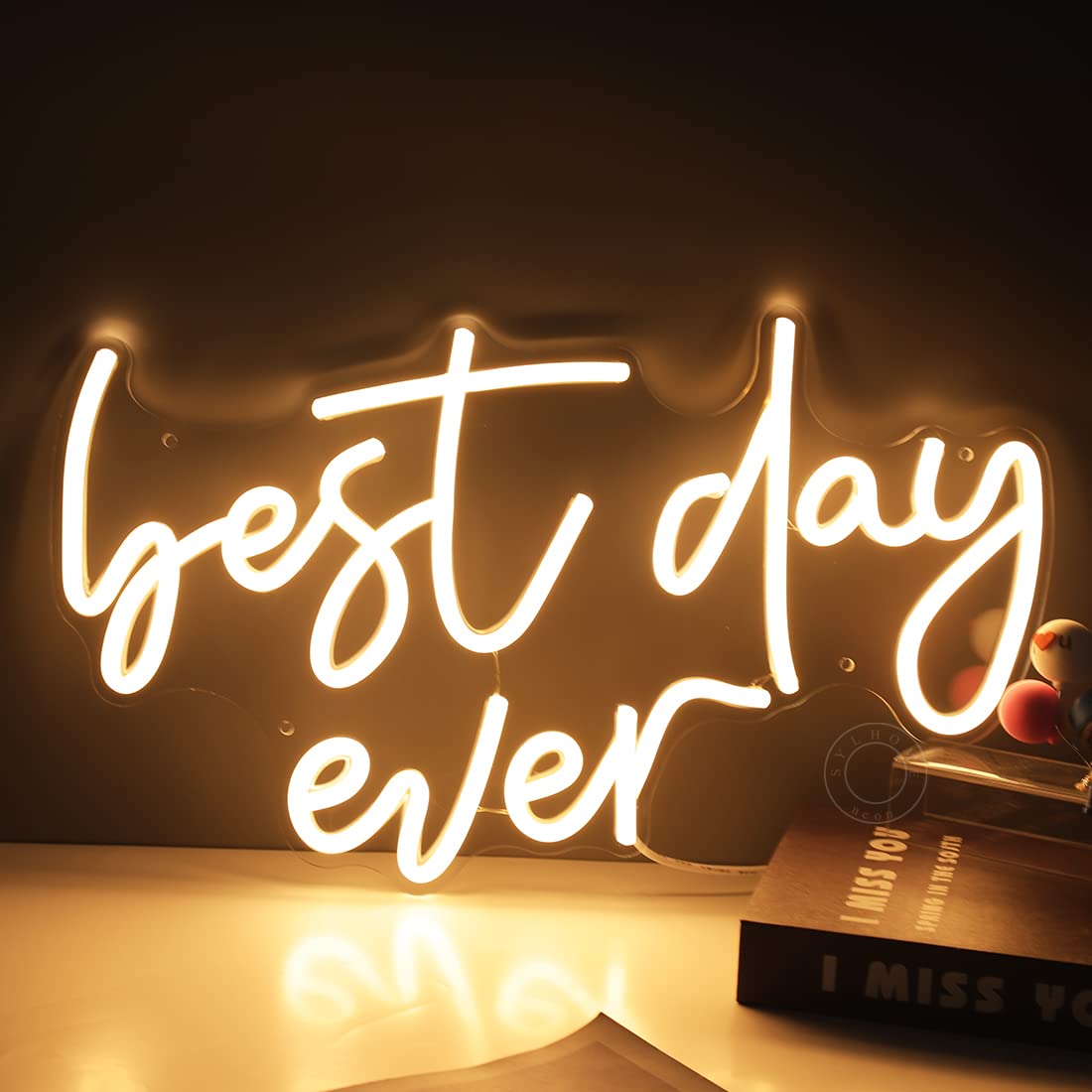 SYLHOME Best Day Ever LED Neon Light Up Sign USB Bedroom Living Room Bar Club Baby Cave Wall Decor Sign Wedding Birthday Anniversary Proposal Party Sign Christmas Gifts 15.8" X 9.1" 5V
