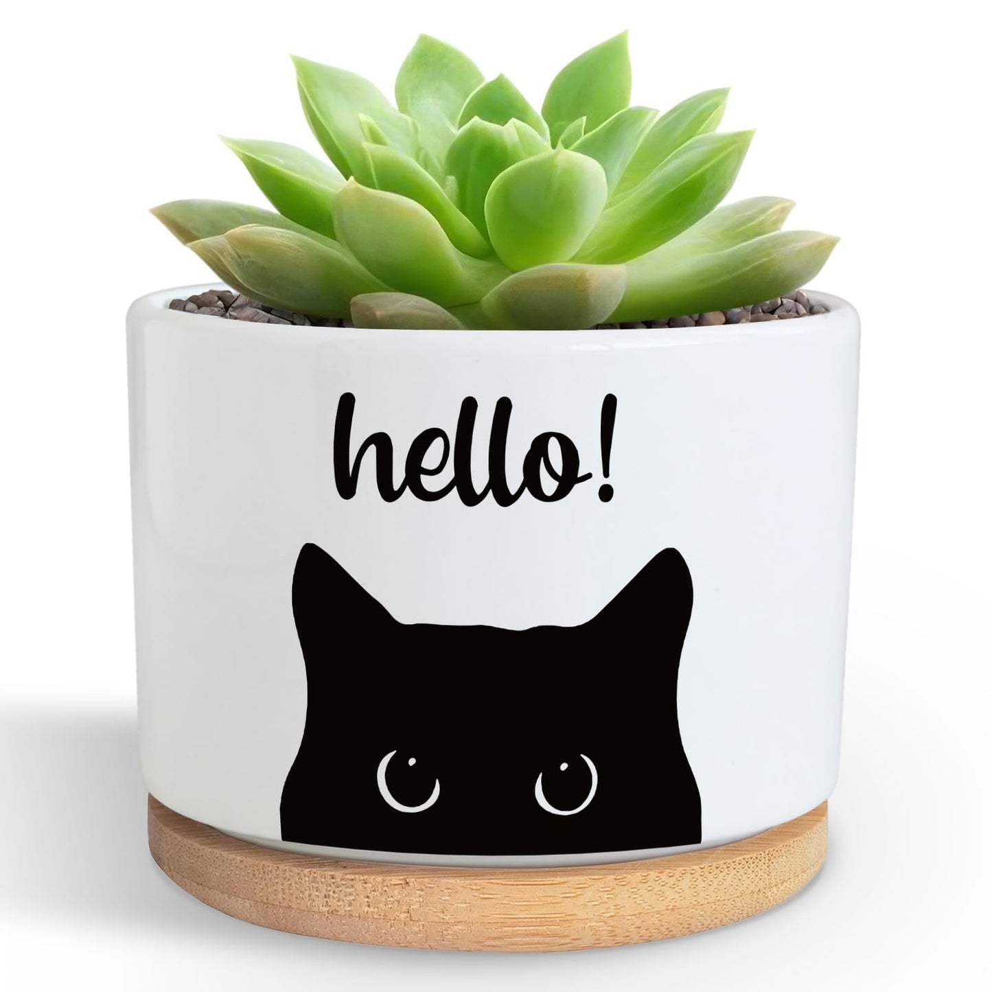 Funny Hello Black Cats Ceramic Plant Pot for Succulent, Cute Cat Cactus Flower Planter for Windowsill Indoor Decor, Home Office Decoration for Plant Lovers Friends Cat Owner Lover (No Plants) (Hello)
