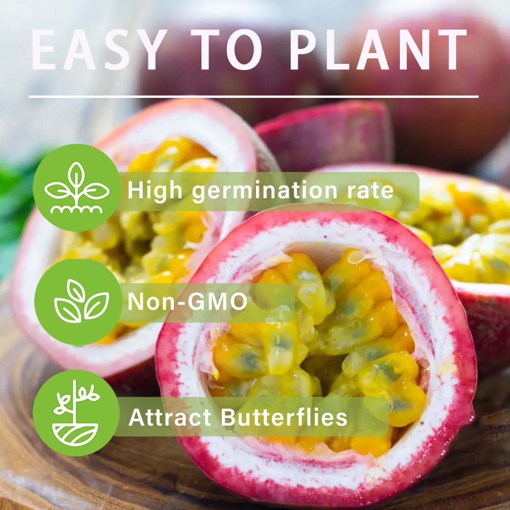 15+ Tropical Passion Fruit Seeds for Planting Outdoors-Non GMO Passiflora for Bonsai Backyard Country