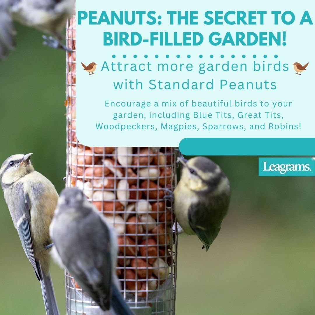Leagrams Standard Peanuts for Wild Birds (10kg)