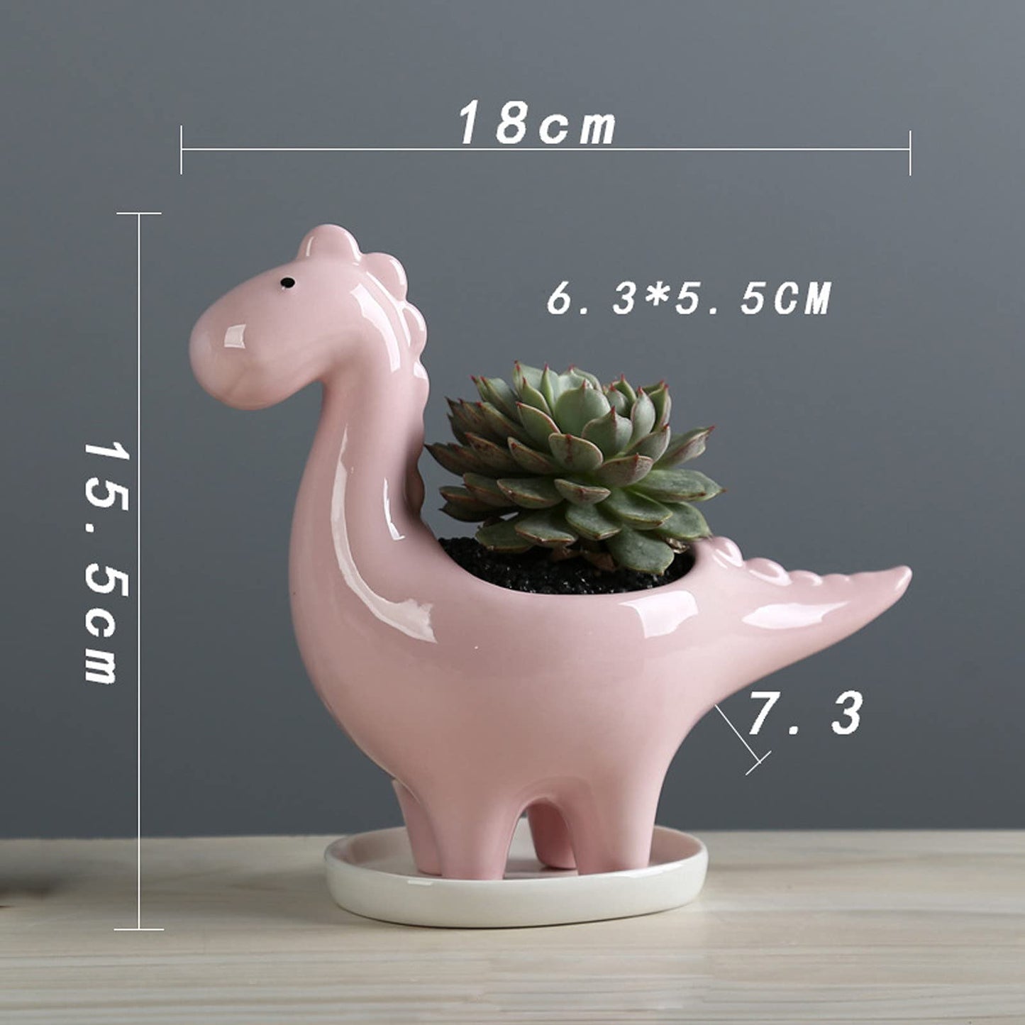 HEALT Ceramic Dragon Succulent Planter Pot with Drainage Holes, Animal Shaped Indoor Air Plants Holder, Flower Pot Cactus Container for Indoor Outdoor Desktop Decoration (Pink)