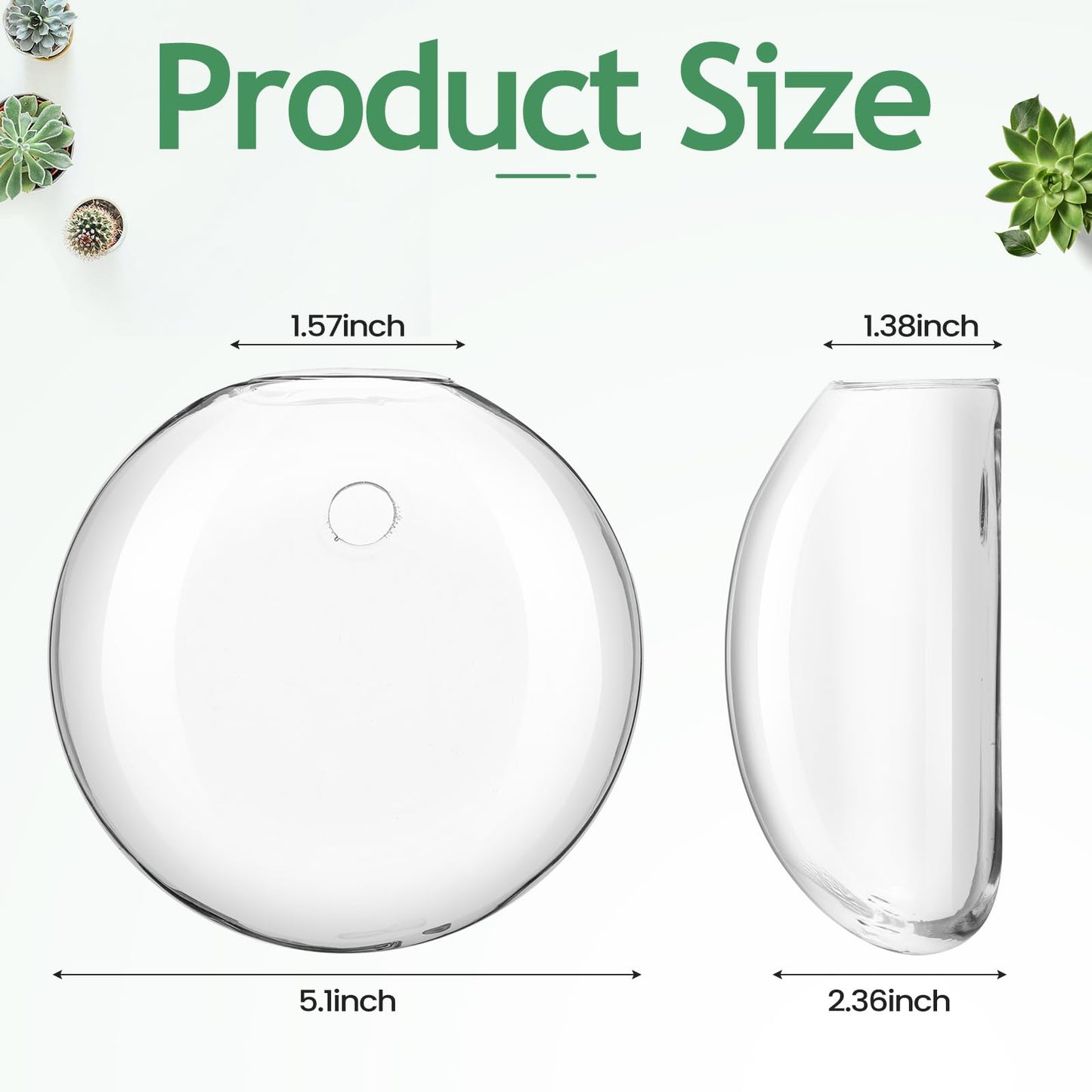 Layhit 8 Pcs Wall Hanging Planters Terrarium Glass Propagation Wall Mounted Planter Oblate Flower Vase Clear Glass Plant Containers for Hydroponics Plants Home Office Garden Decor