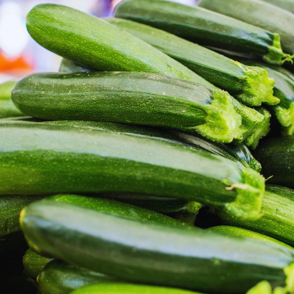 2 Zucchini Plants Live Seedlings, 4 Inches Pot, Live Squash Plants from 3 to 6 Inches Tall