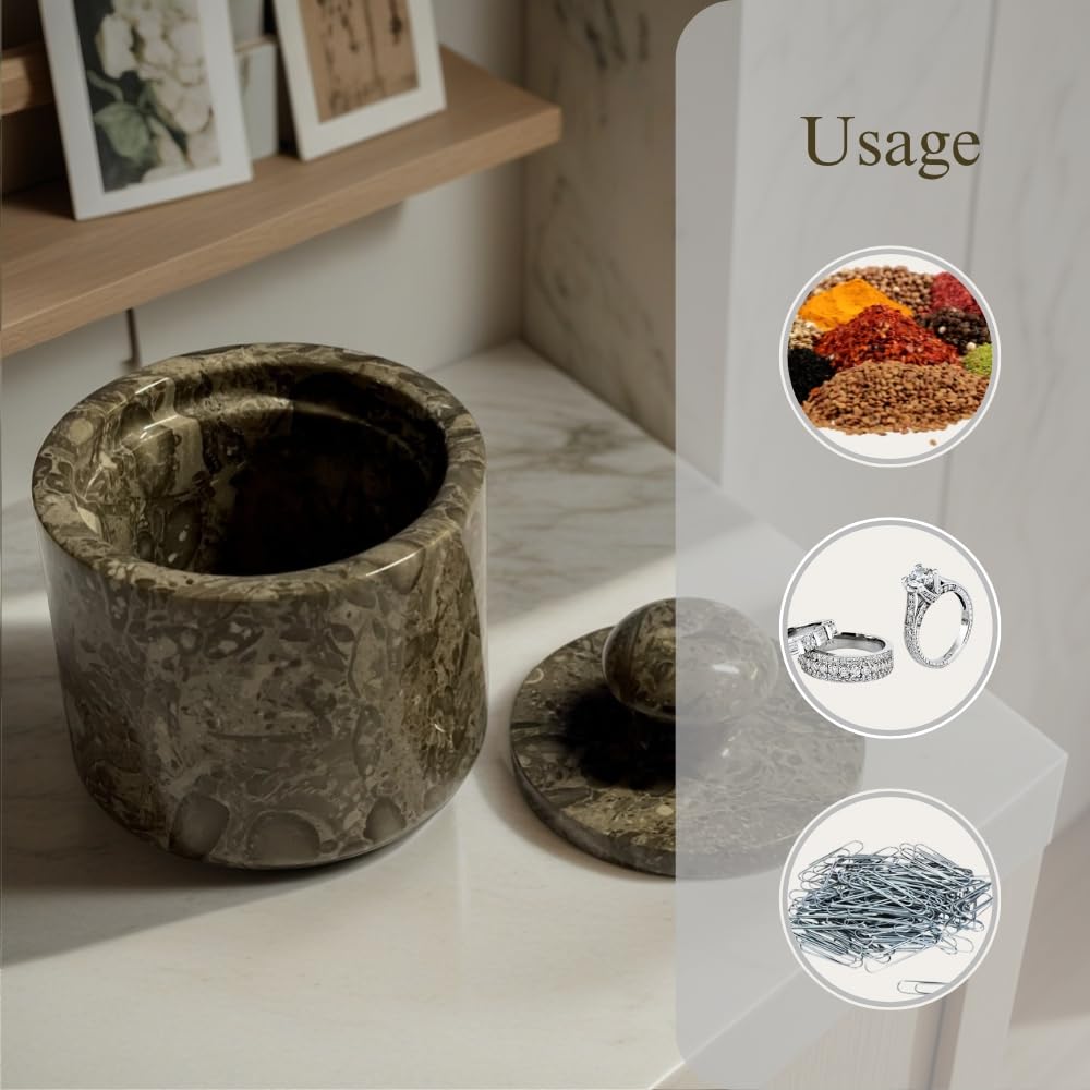 TheWolfard Marble Salt Cellar Keep Spices Fresh Seasoning Holder for Herbs Sugar Salt Keeper With Handmade Lid Knob Like Mushroom Best 3-Inch Marble Dish (Fossil and Coral)