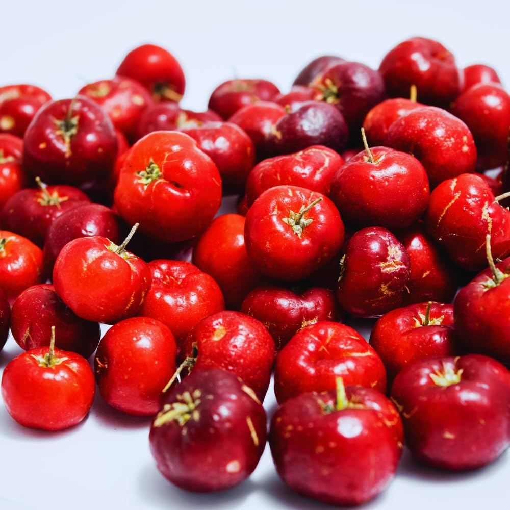 2 Barbados Cherry Plants Live, Cold Hardy Cherry Tree Live Plant, 5-7'' Tall, Sweet Cherry Tree