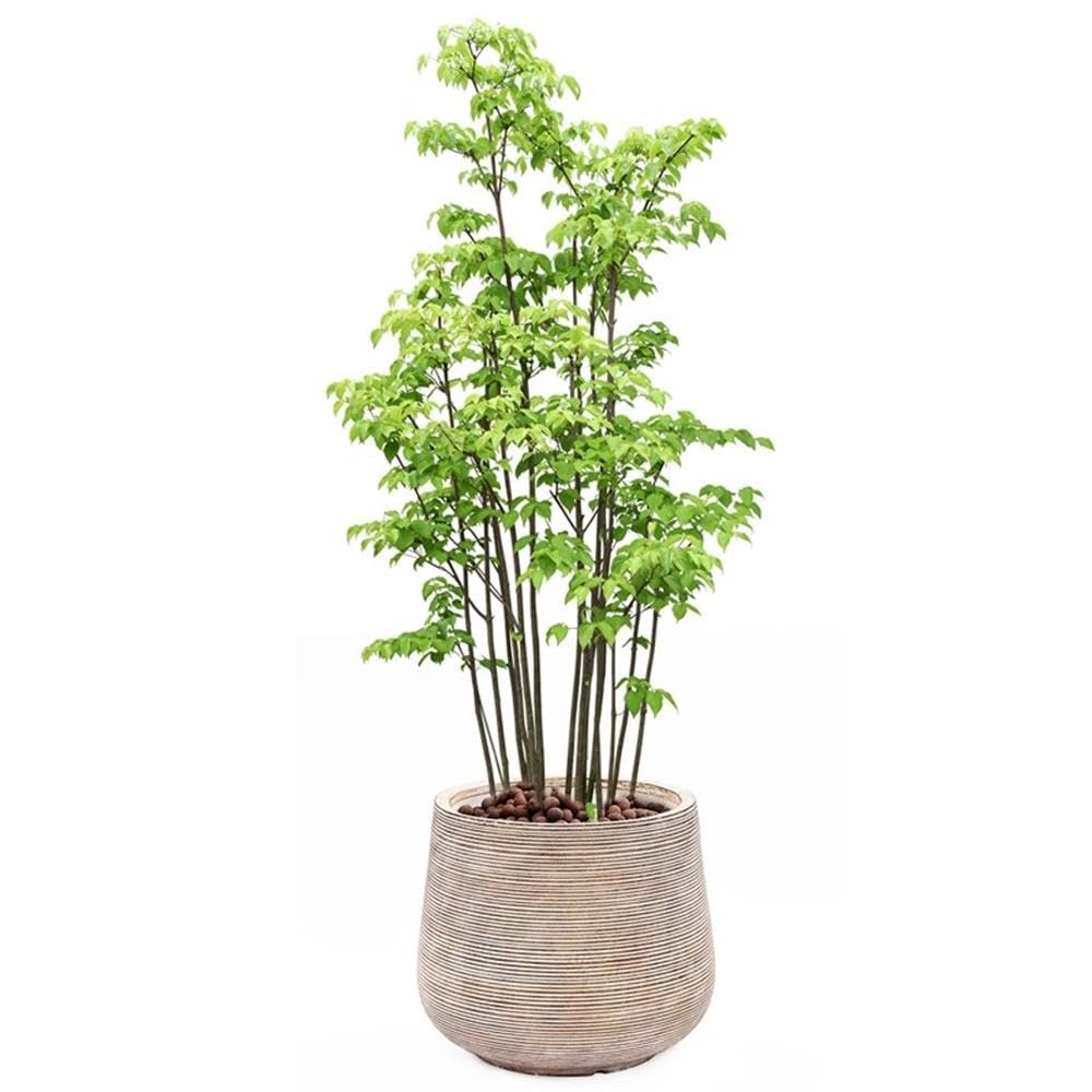 LuxenHome 17" Dia Large Round Planters for Indoor Plants, Outdoor Planters with Drainage Holes, Farmhouse Distressed Plant Pots Indoor & Outdoor for Home Garden Patio