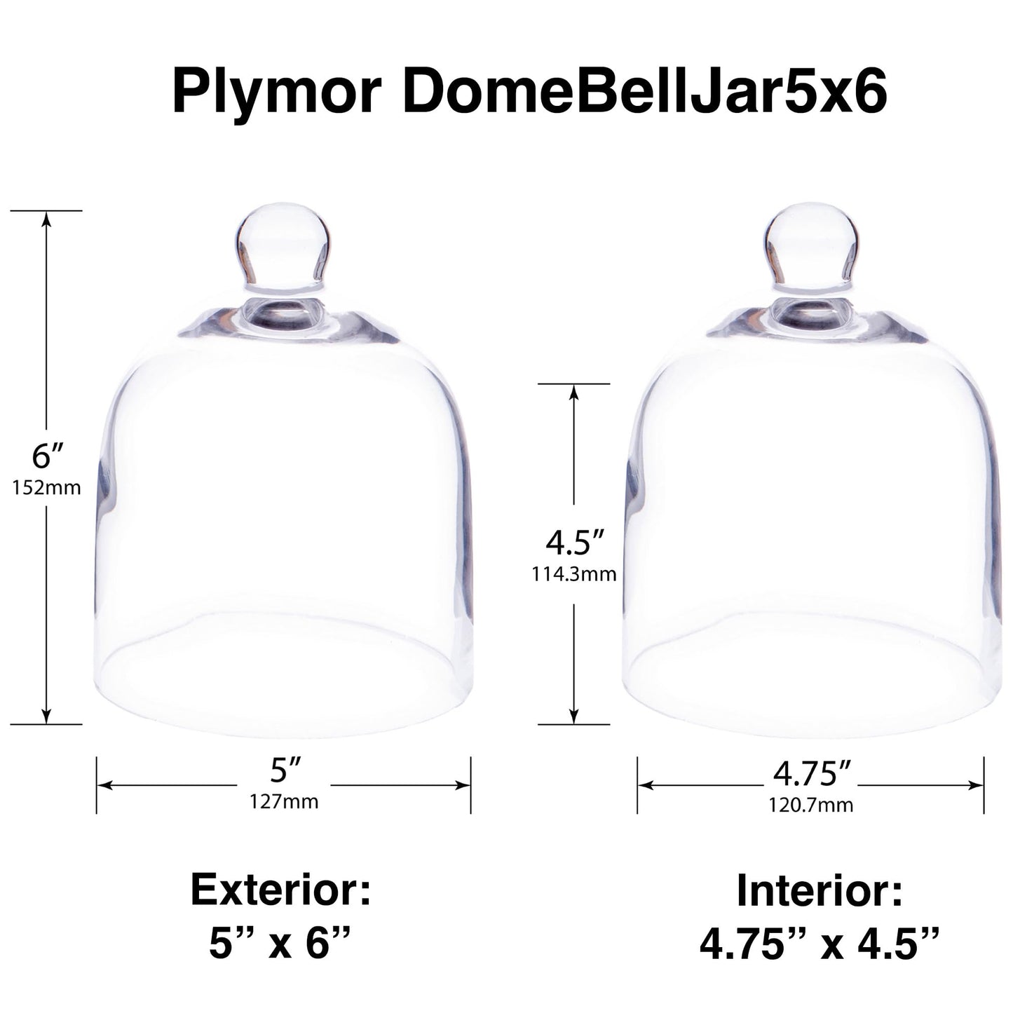 Plymor 5" x 6" Bell Jar Glass Display Dome Cloche (Interior Size 4.75" x 4.5")