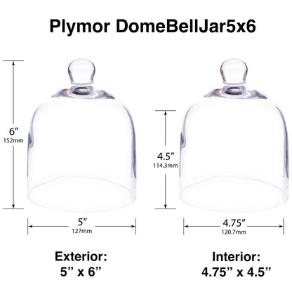 Plymor 5" x 6" Bell Jar Glass Display Dome Cloche (Interior Size 4.75" x 4.5")