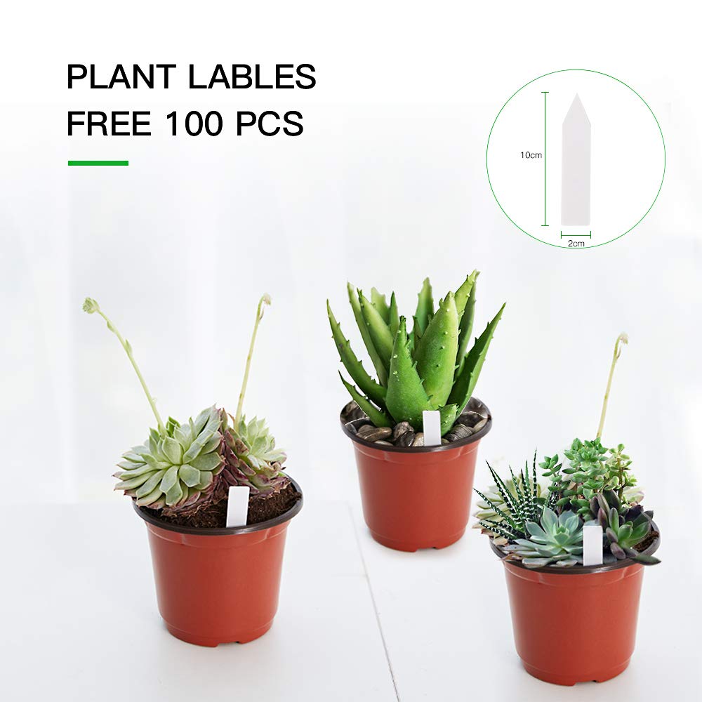 JERIA 100-Pack 6 Inch Plastic Nursery Pots Come with 100 Pcs Labels, Seedling Flower Plant Container and Seed Starting Pots