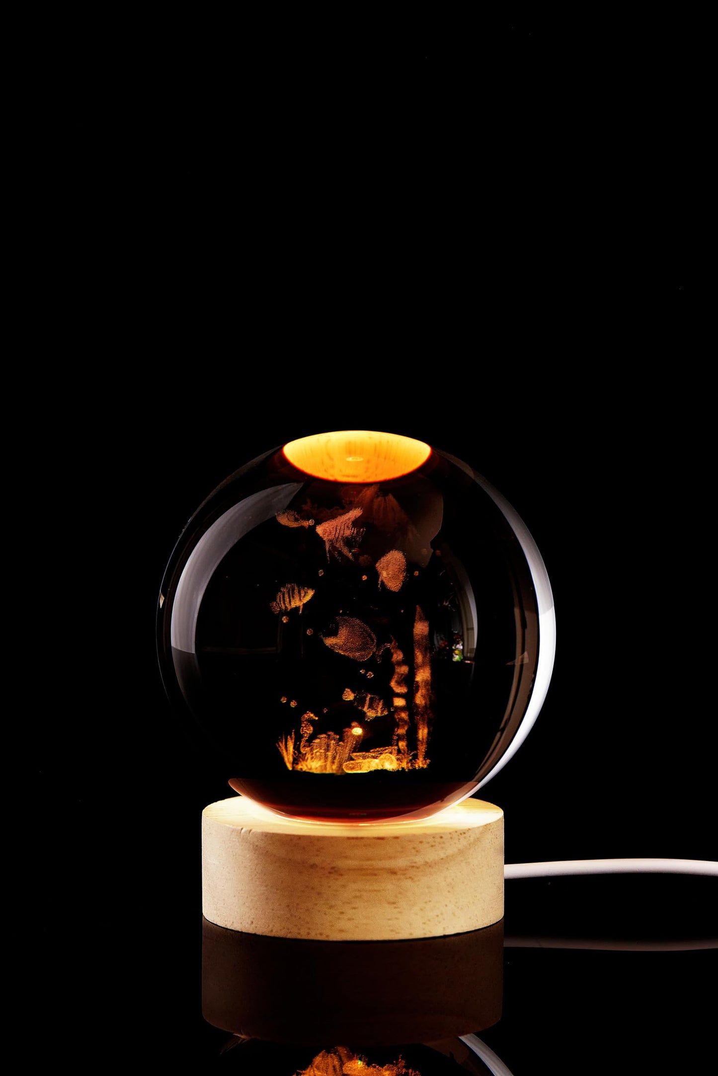 Conalisk 3D Underwater World Crystal Ball Lamp,Lifelike LED Fish Crystal Night Light,16 Colors Changing Light,Dimmable Remote Control,Desk Ocean Lamp (N)