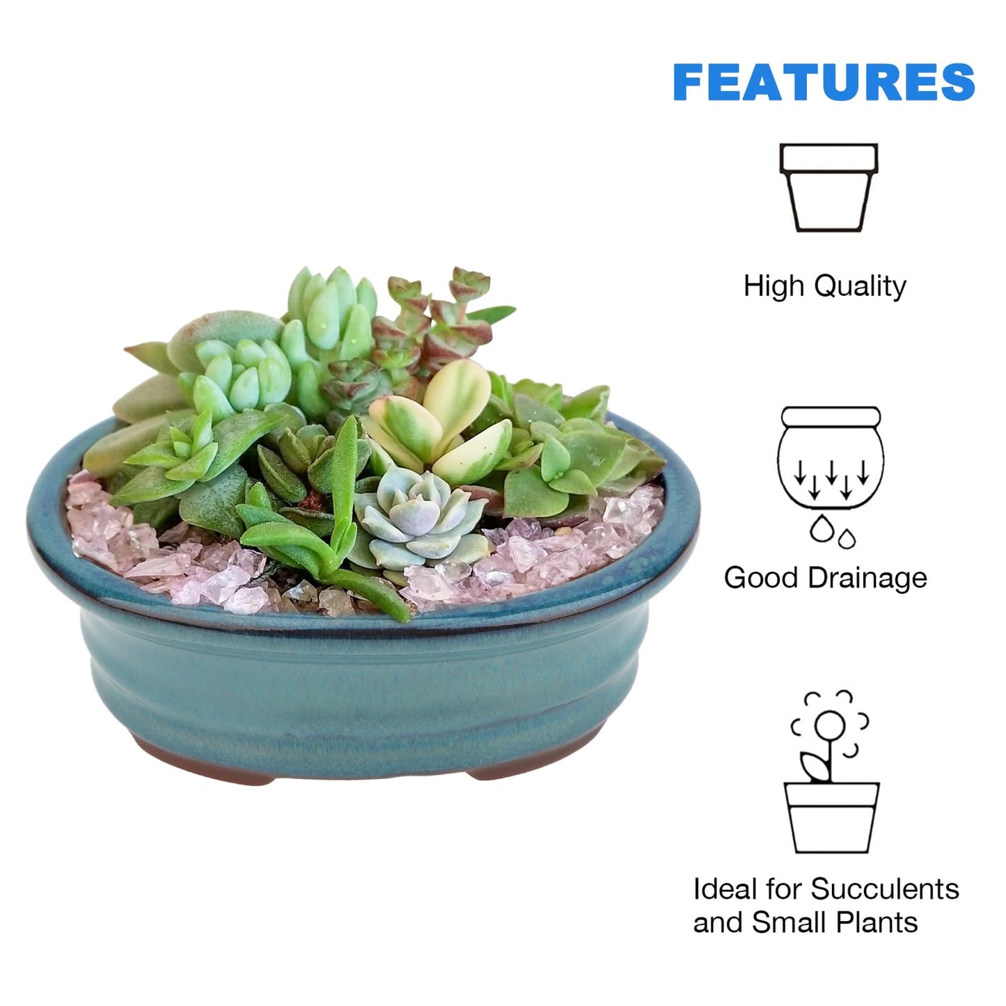 Bonsai Planter Succulent 5.7" 7" Glazed Pots, Value Set of 2 + 4 Soft Mesh Drainage Screens