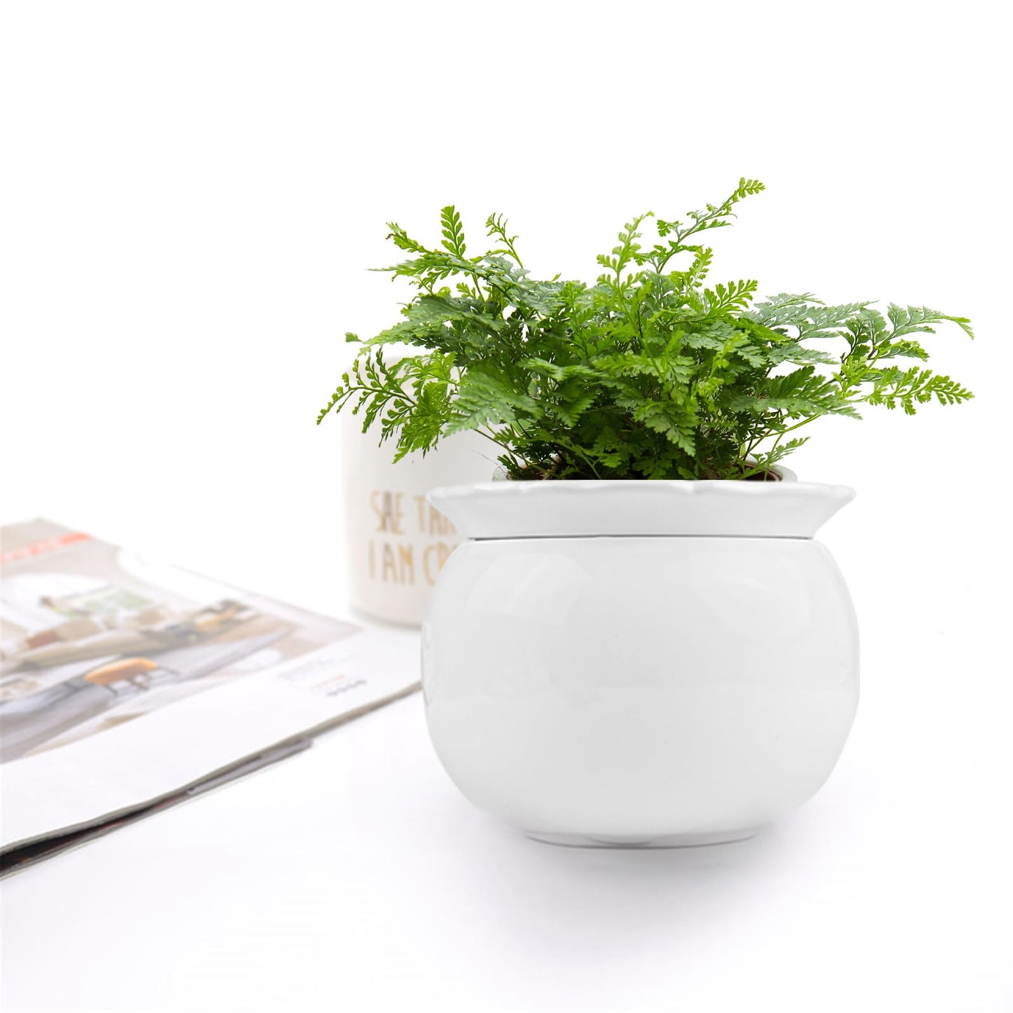 BUYMAX African Violet Pots, 6 inch Ceramic Easy Self Watering Plant Pot for Busy Plant Lovers, Automatically Absorb Appropriate Amount of Water, Flower Pot Indoor-Plants Not Included