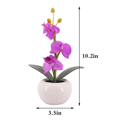 Naimo Phalaenopsis Night Light Rechargeable LED Night Lamp Flower Table Lamp for Bedroom Living Room Birthday Party Desktop Home Decor