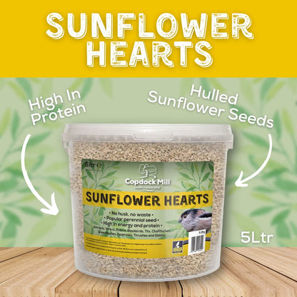 Copdock Mill Sunflower Hearts Bird Food 3.2kg / 5L Tub – No Mess Sunflower Hearts for Wild Birds – Bird Seed Suitable for Sunflower Seeds Feeders & Bird Tables