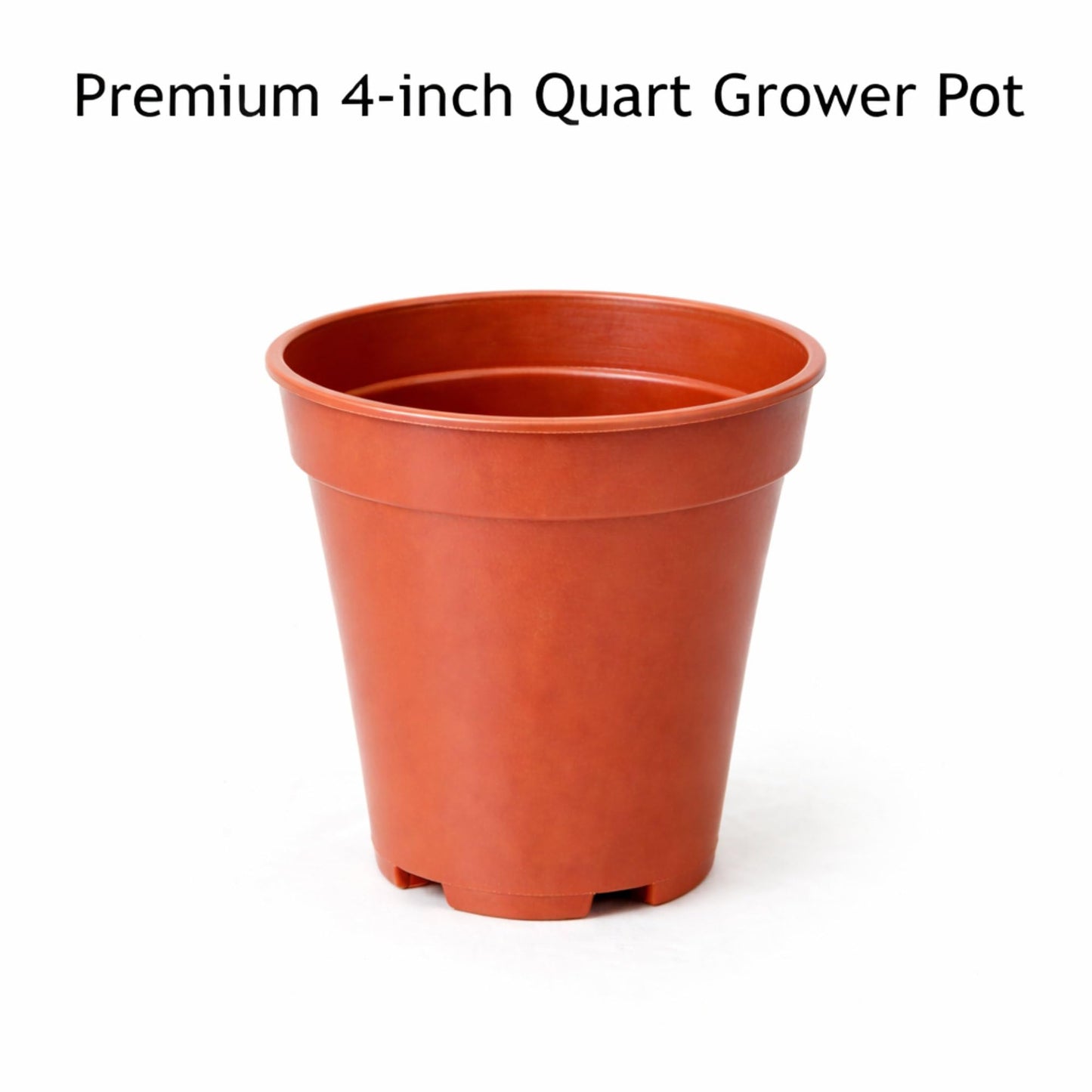 Easy to Grow Bearded Iris Colorful Mix 3 Potted Plants - Spring to Fall Flowers in Full Sun, Established Rooted Rhizomes in 4" Quart Pots - Low Maintenance, Drought Tolerant, Hardy Perennials