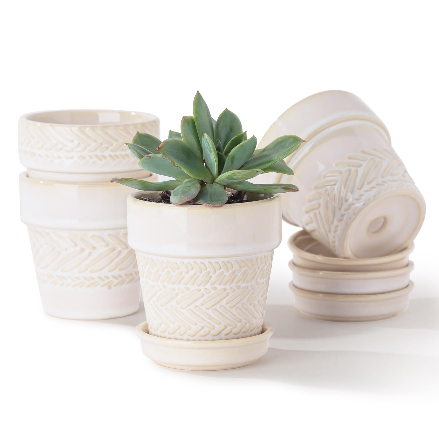 Fayoula Succulent pots,Indoor Small Succulent Bonsai,3 Inch Mini Ceramic Succulent Pots with Saucer and Drainage Hole, Decorative Planter for Succulent, Cactus, Set of 4.