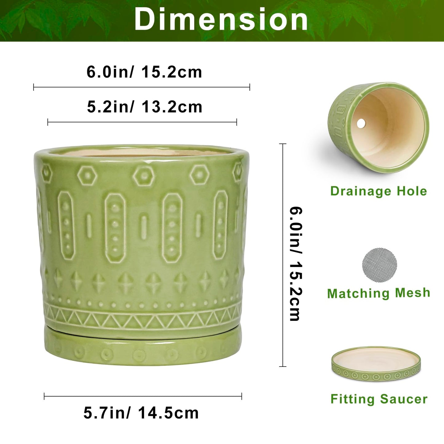 Eightpot Ceramic Pot for Plants - 6 Inch Indoor Planter with Drainage Hole and Saucer, Round Decorative Flower Pots Outdoor, Boho Succulent Planter, Garden Home Decor, Gifts for Plant Lover, Green