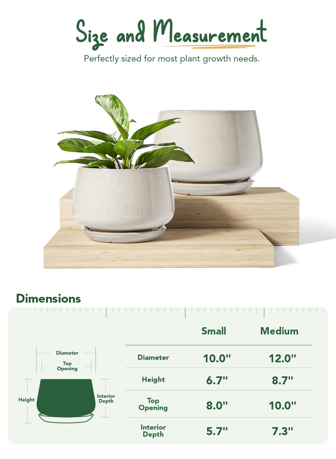 LE TAUCI Ceramic Plant Pots, Set of 2, 10 + 12 Inch Plant Pot, Elegant Planters for Indoor Plants, Sturdy Planter with Drainage Hole and Saucers, Perfect for Home Decor, Reactive Glaze Beige