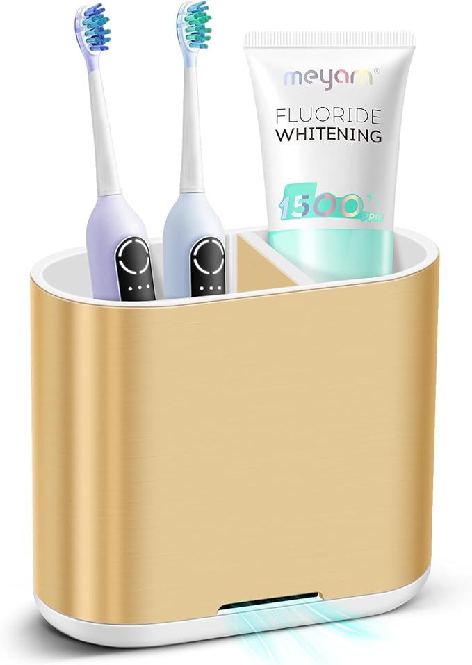 Chintu Toothbrush and Toothpaste Holder