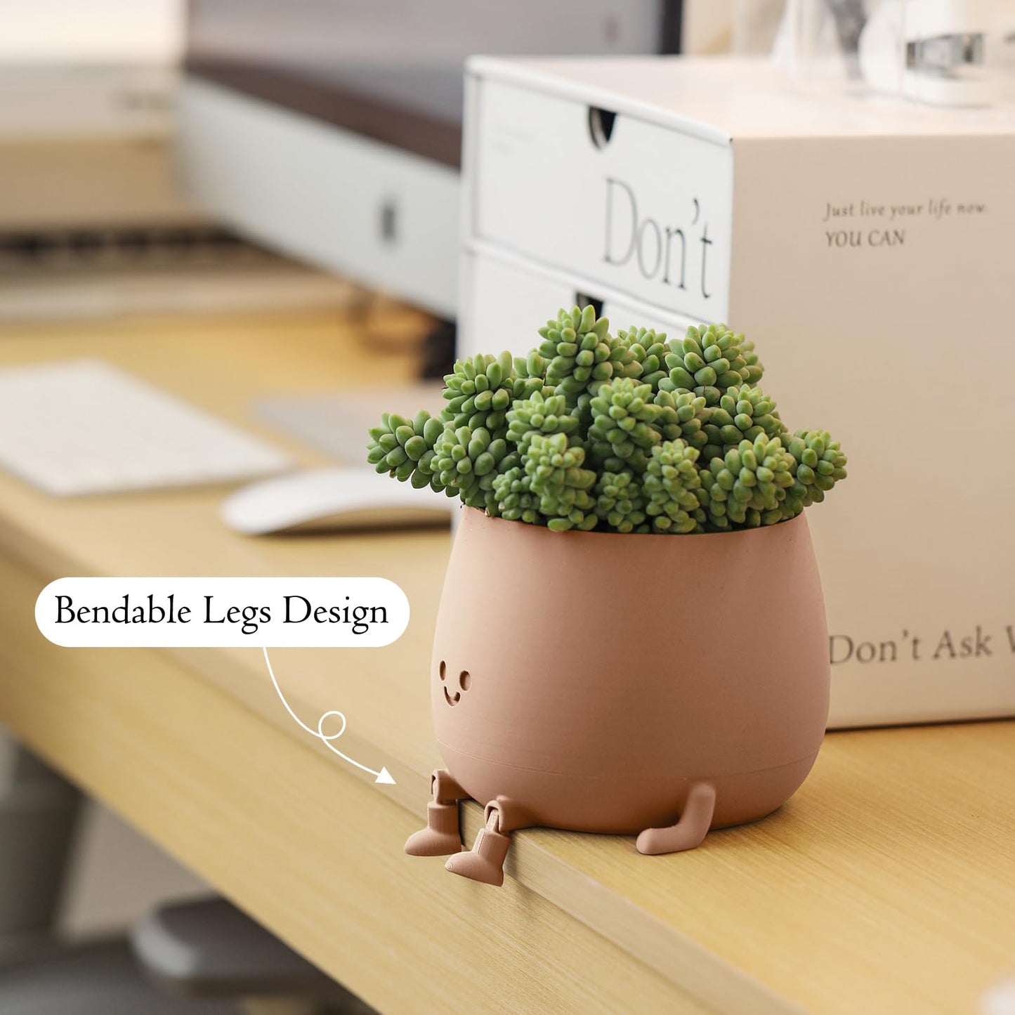 TOPOLA Happy Face Planter, 5.2 Inches Plastic Plant Pot, Self Watering Plant Pot with Drainage Holes for Indoor Outdoor, Succulent Pot, Funny Flower Pot, Khaki