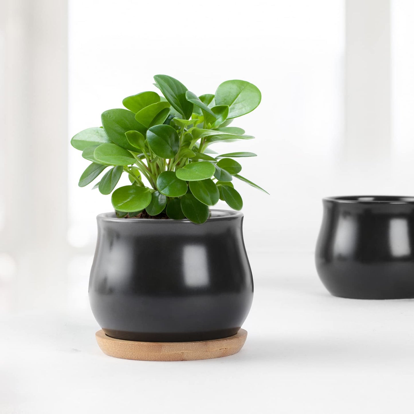 SHECIPIN 8 Pack Succulent Plant Pot, Matte Black Mini 2.6 inch Ceramic Flower Planter Pot with Bamboo Tray, Small Pots for Plants, Plants Not Included
