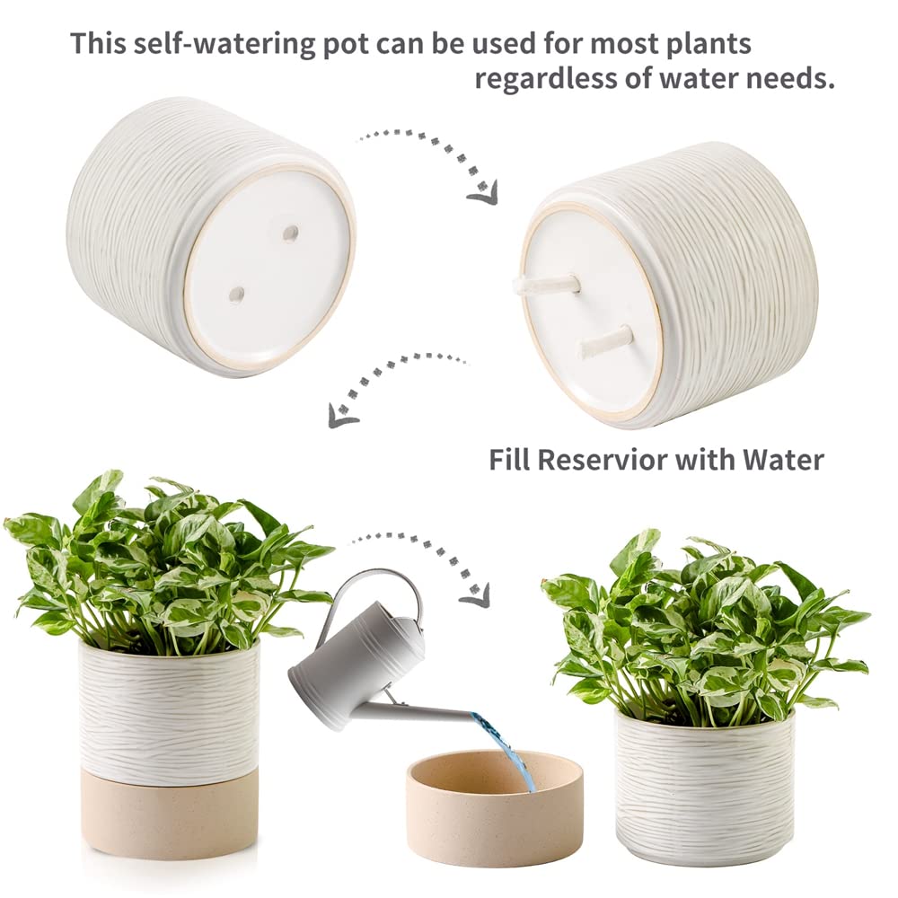 Nihow Self Watering Plant Pot: 6 Inch Ceramic Planter with Drainage Hole & Water Storage Plus for Indoor & Outdoor Plants - Cylinder Round Flower Pot for Succulent/Herbs/Violets - Cream White & Brown