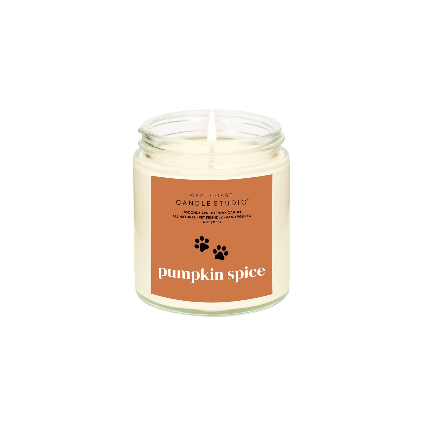 Pet Safe Candle for Dogs | Non Toxic Coconut Apricot Wax Candle | Clean Burning, Paraffin-Free | Pet Odor Eliminating Home Fragrance | Pumpkin Spice | 4 oz