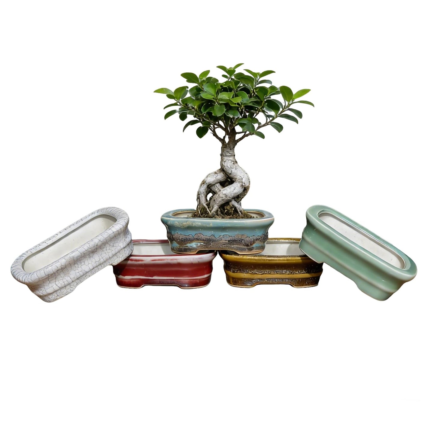 KyoYi Bonsai Pots & Small Ceramic Planters, Set of 5 with Drainage - 5 Inch Shallow Indoor Pots for Succulents, Bonsai, House Plants, Vintage Red and White Glazed Flower Pots, Plant Lover Gift