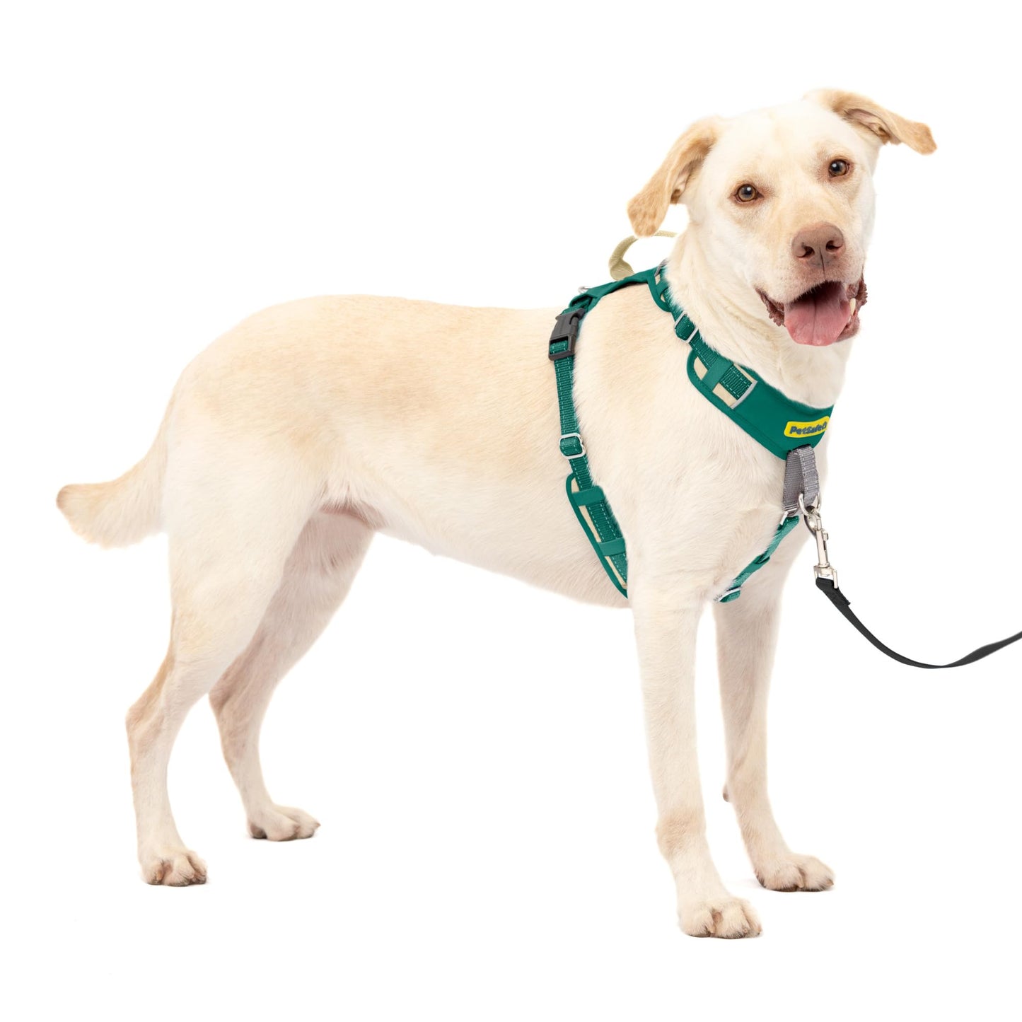 PetSafe Easy Walk Comfort No-Pull Dog Harness Full-Body Padding - Better Walks on The First Use - 5 Points of Adjustment Large, Green